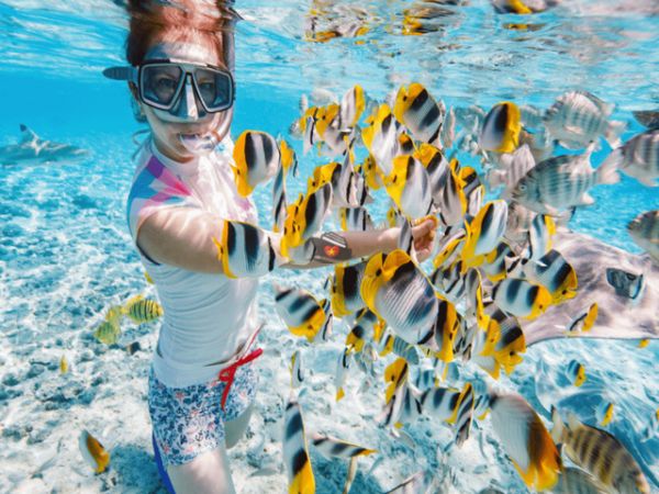 5D4N Package Trip From Incheon To Nha Trang Vietnam
